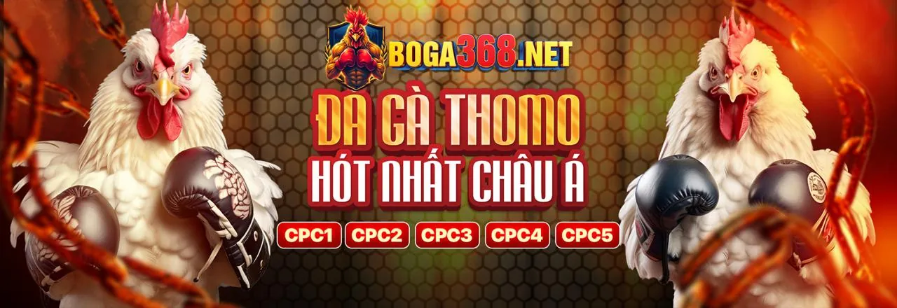 Nền tảng SV388 với các điểm nổi bật và trò chơi