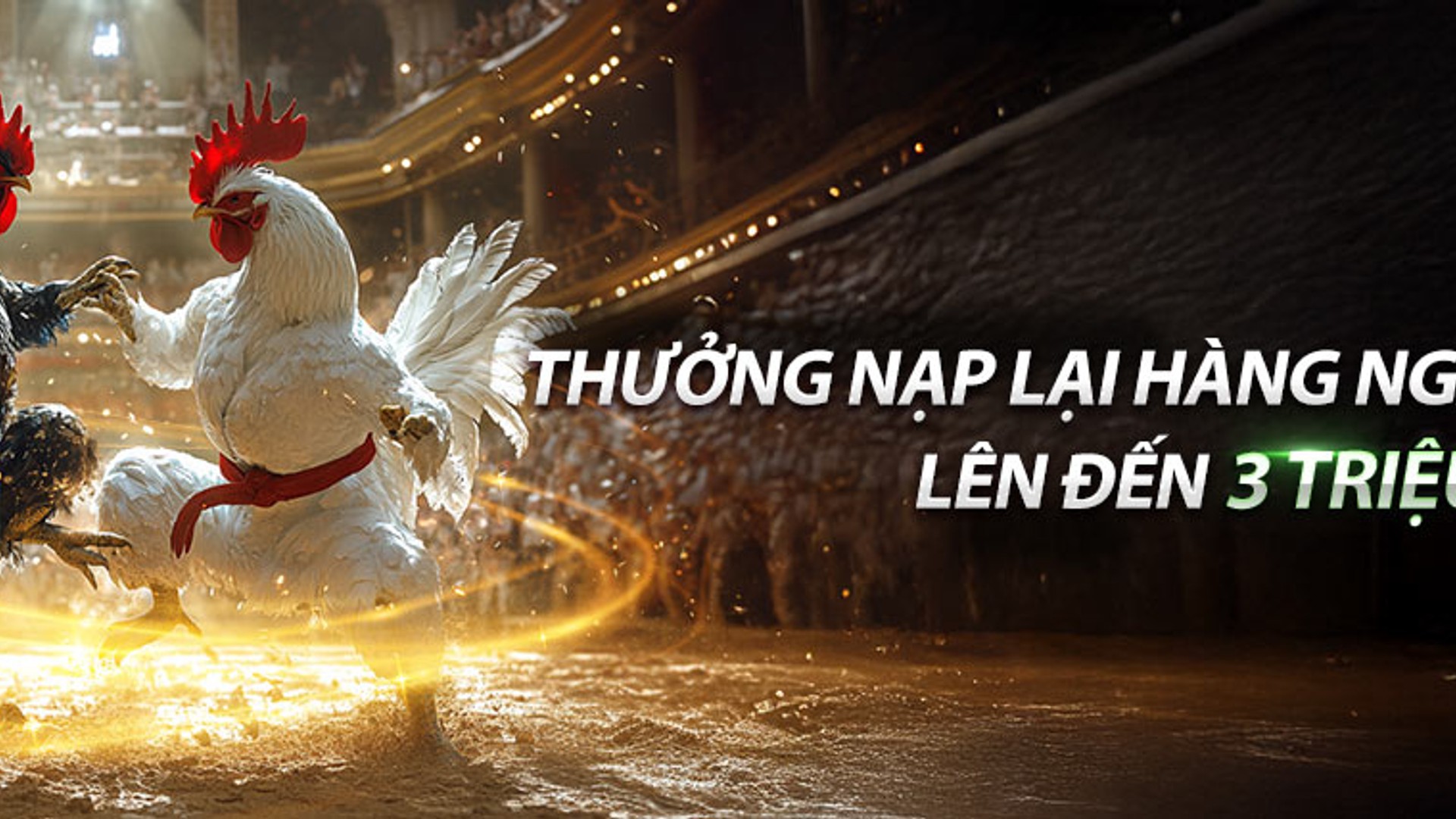 Hình ảnh đối tác và hỗ trợ kỹ thuật của sv388