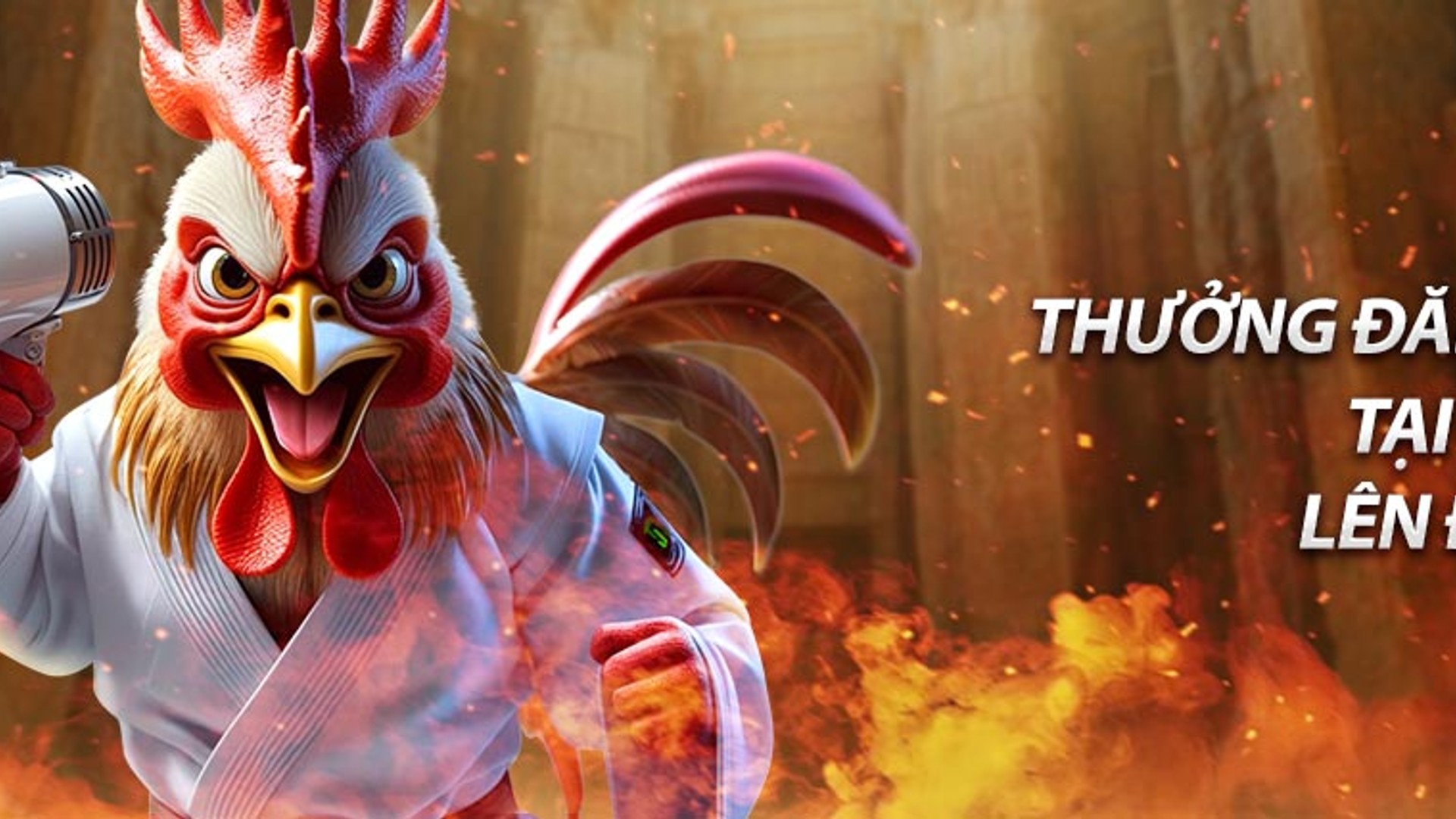 Chiến kê dũng mãnh chuẩn bị cho trận đá gà trực tiếp tại SV388