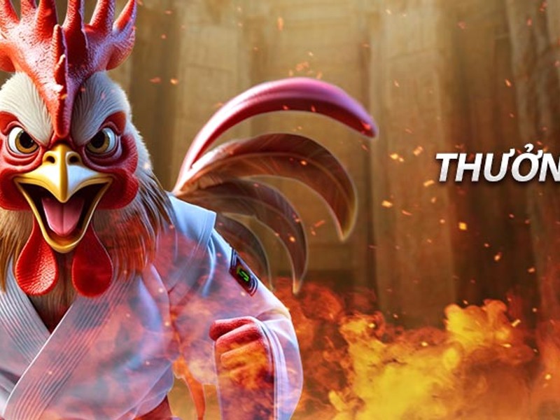 Trận Derby Việt Nam