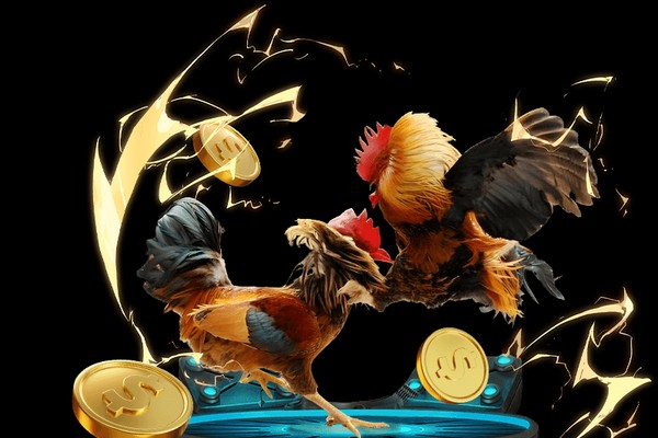 Hình ảnh minh họa chiến lược đá gà nâng cao trên SV388